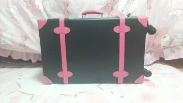 클래식 스타일 캐리어 케이스 블랙과 핑크