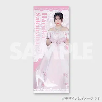 한결같은 신데렐라 사쿠라바 요카 극세사 타월