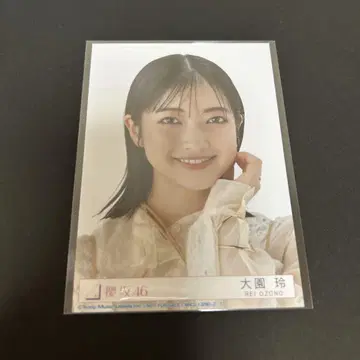 오오조노 레이 사쿠라자카46 Addiction 봉입 브로마이드 요리 앨범