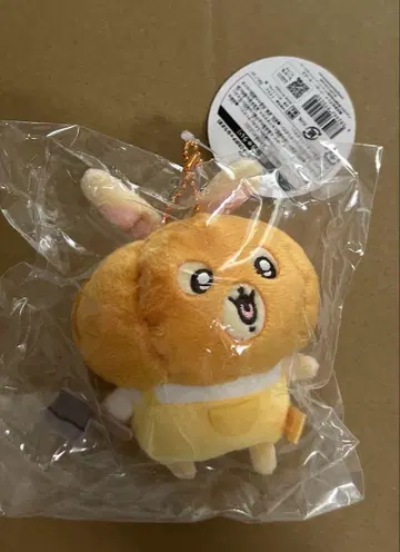 치이카와 (먼작귀) 분장 재미있어요! 마스코트 호박 토끼