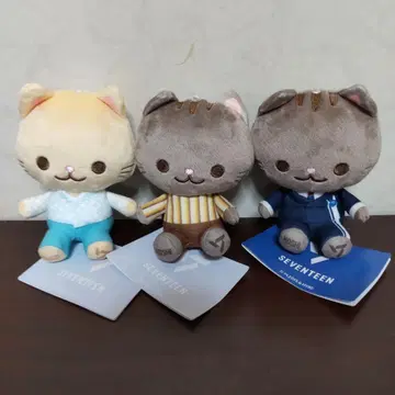 세븐틴 고양이 마스코트 3종 세트