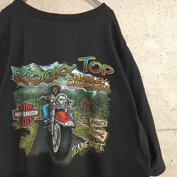 HARLEY-DAVIDSON/USED 프린트 티셔츠/로고/곰/바이크