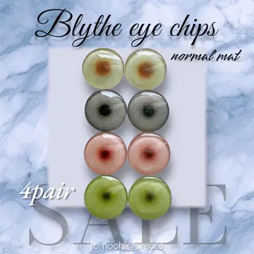 브라이스 아이 칩 세트