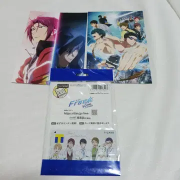 Free! T 카드 미개봉 엽서