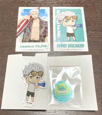 WIND BREAKER 마네키네코 우메미야 이치
