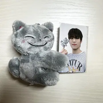 Funny Treasure 박정우 봉제 인형 트레이딩 카드