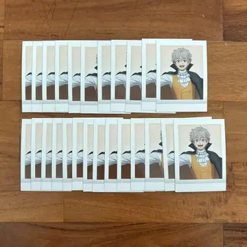 윈드브레이커 토지산 정자 파샤코레