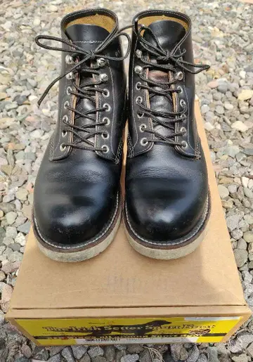 레드윙 9870 블랙 클론다이크 아이리쉬 세터 차심