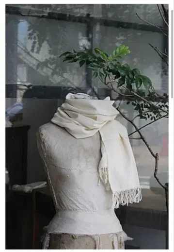 카디 코튼 크로스 대