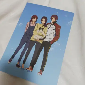 Free! 린 마코토 양면 대형 엽서