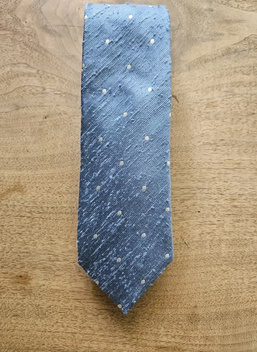 (Worn Once) Italian Corneliani Silk Necktie