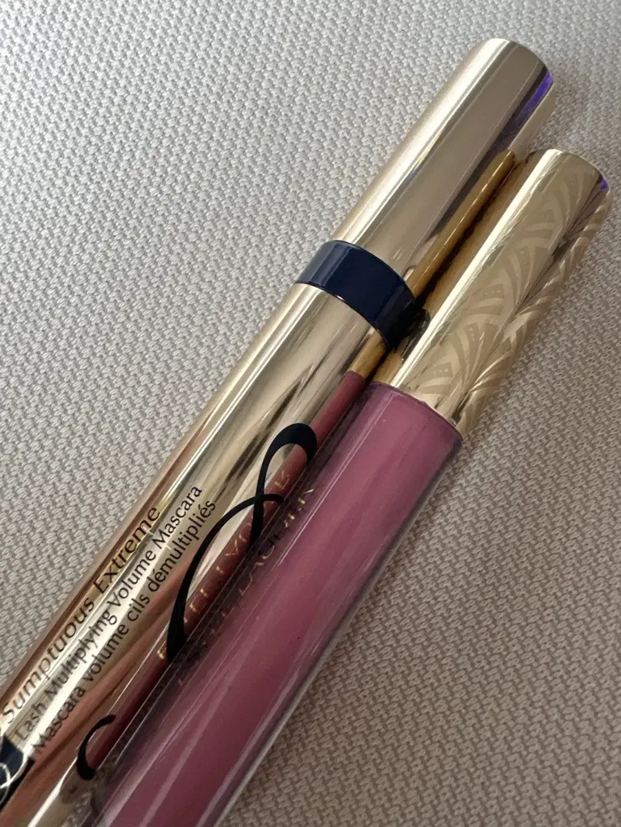 Estee Lauder Lip Gloss Mascara
