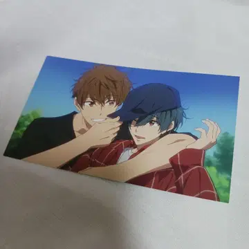 Free! 우키야 나츠야 엔드 카드 [최저가]