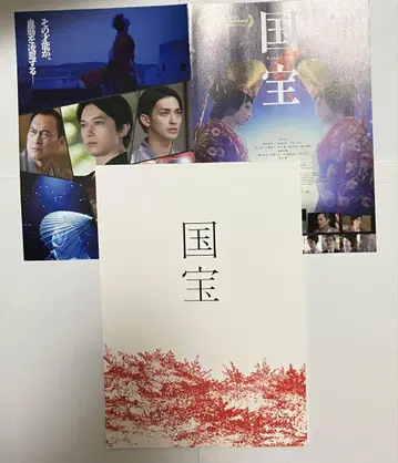 영화 국보 팜플렛 미독 새상품 요시자와 료 요코하마 류세이 와타나베 켄
