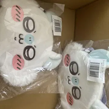 치이카와 모몽가 가득 d상 2개