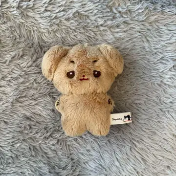 zb1 규빈 10cm 봉제 인형