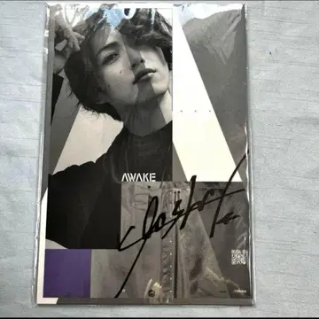 다테이시 토시키 사인 포함 트레자케 awake ivvy