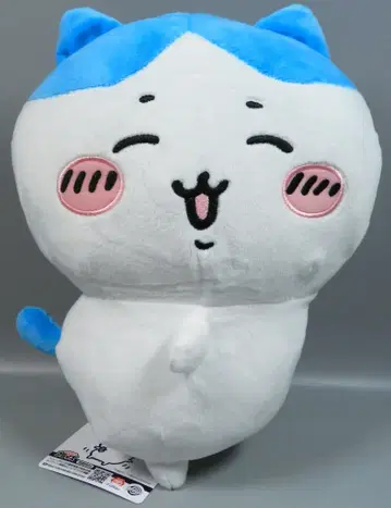 후류 엉덩이 흔들흔들 BIG 봉제 인형 치이카와 (먼작귀) 하치와레