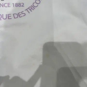 화이트 티셔츠