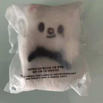 지니레토 지니레 반자이 스키즈 straykids 현진 skzoo