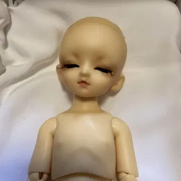 슈퍼돌피 유년 SD 안 본체