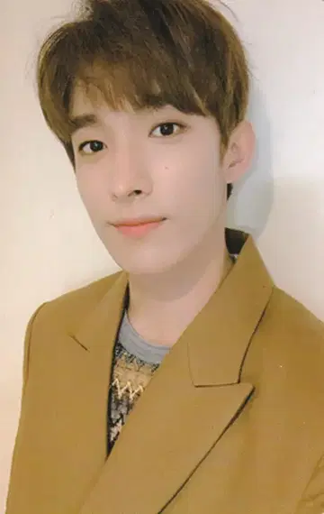 SEVENTEEN Truth DK An Ode 보라색