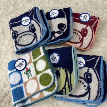 modern pets 타월 손수건 6장 세트