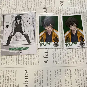 WIND BREAKER 윈브레이크 전 프리 카페 토가메조 3개 세트
