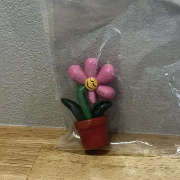 DAISUKE KONDO art collection hana 꽃