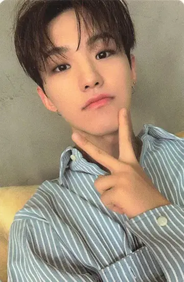 SEVENTEEN An Ode HOSHI 트레이딩 카드 파랑