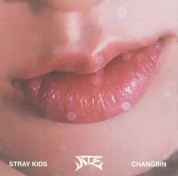 스트레이키즈 아코디언 버전. 창빈 ATE