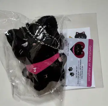 ENHYPEN 송훈 제이 봉제 인형 10cm