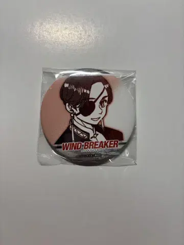 WIND BREAKER 스오 슈토 럭키 캔뱃지