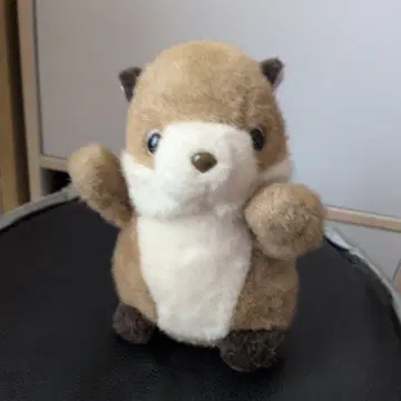다람쥐 봉제 인형 브라운과 화이트