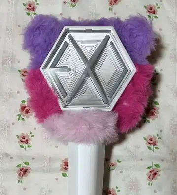 EXO 베키응원봉 커버