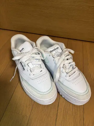 리복 스니커즈 리복 클럽 C 엑스트라 23cm