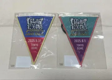 GLAY EXPO 2025 GRAND FINAL 가랜드 도쿄돔 양일