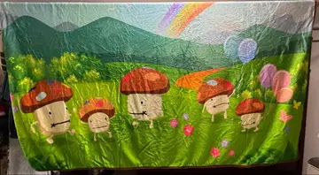 도코모다케 담요