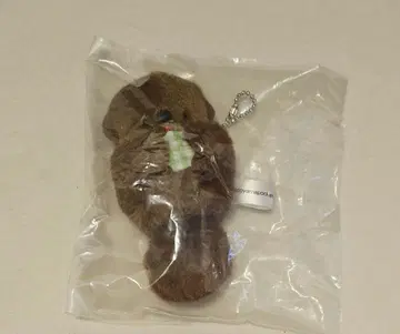 니코야마 포케 라코