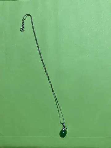 그린 구형 돌고래 펜던트 실버 체인