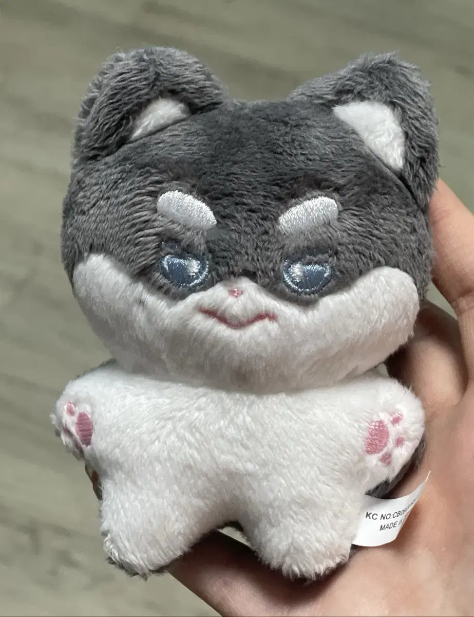 Half-priced Delivery zb1 park gunwook doll bebeuk wts