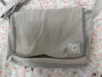 초레어 JICHOI 백 그레이