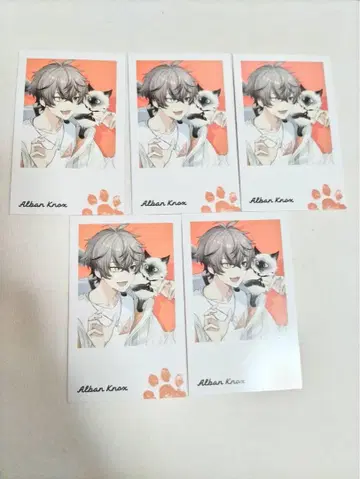 니지산지 EN Noctyx with Cat 폴라로이드 알반 녹스