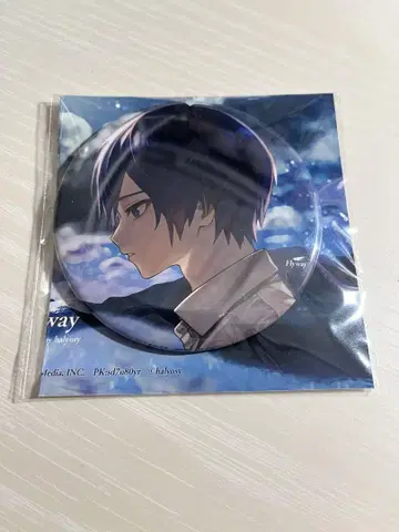 KAITO Flyway 캔뱃지