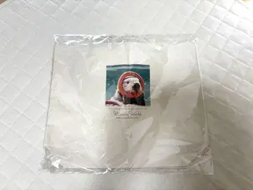 리로 감사합니다 세트 캔버스 지퍼 토트백