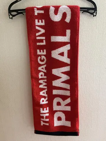 THE RAMPAGE 투어 타월
