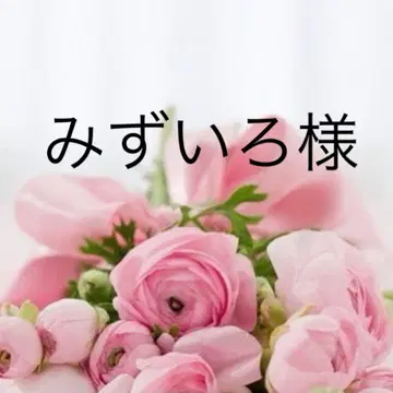 미즈이로 셋업 S 믹스