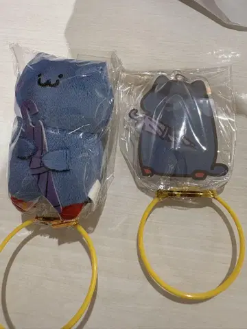 문구와 함께 비와 수국 고양이 세트