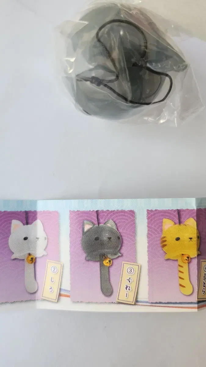 고양이풍경. 3번 회색고양이 가챠