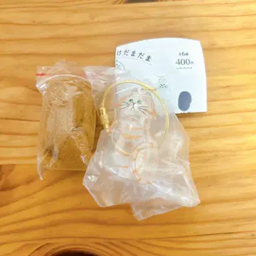 우리 아이의 털뭉치, 브라운